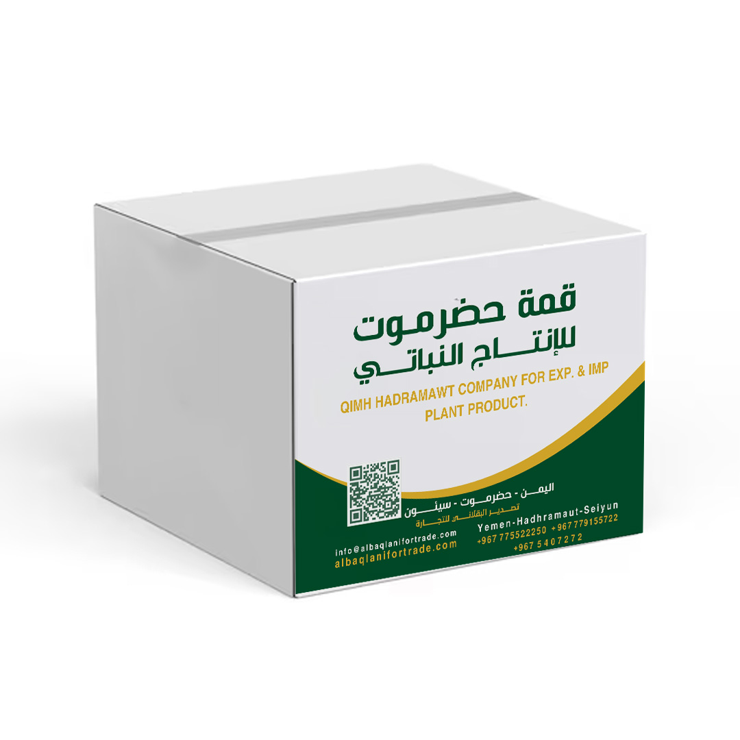 صورة منتج بذور البصل